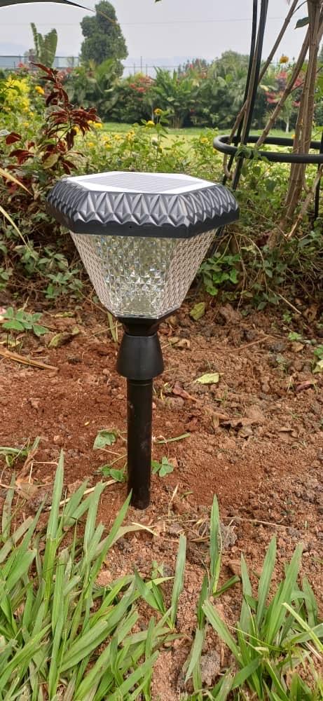 Solar garden lights
