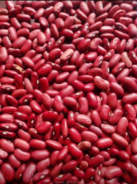 Kidney beans