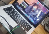 Apple 2009