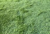Artificial grass