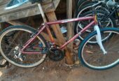 Mountain bicycle
