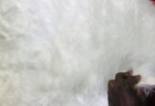 Fluffy carpet