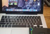 Apple 2009