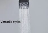Adjustable Shower head with a stick