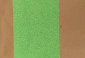 Bathing sponge(salux)