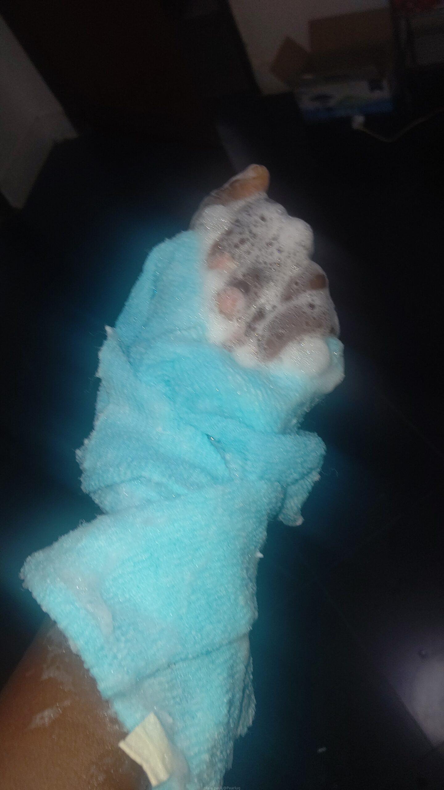 Bathing sponge