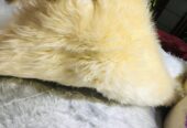 Fluffy carpet