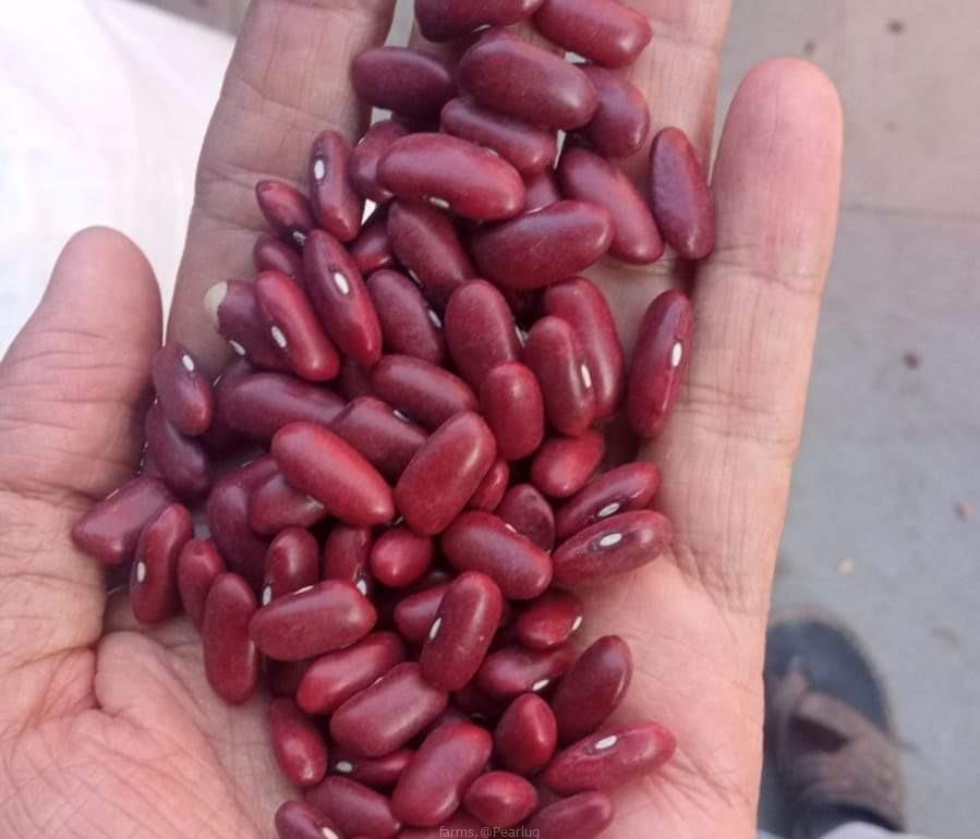 Kidney beans