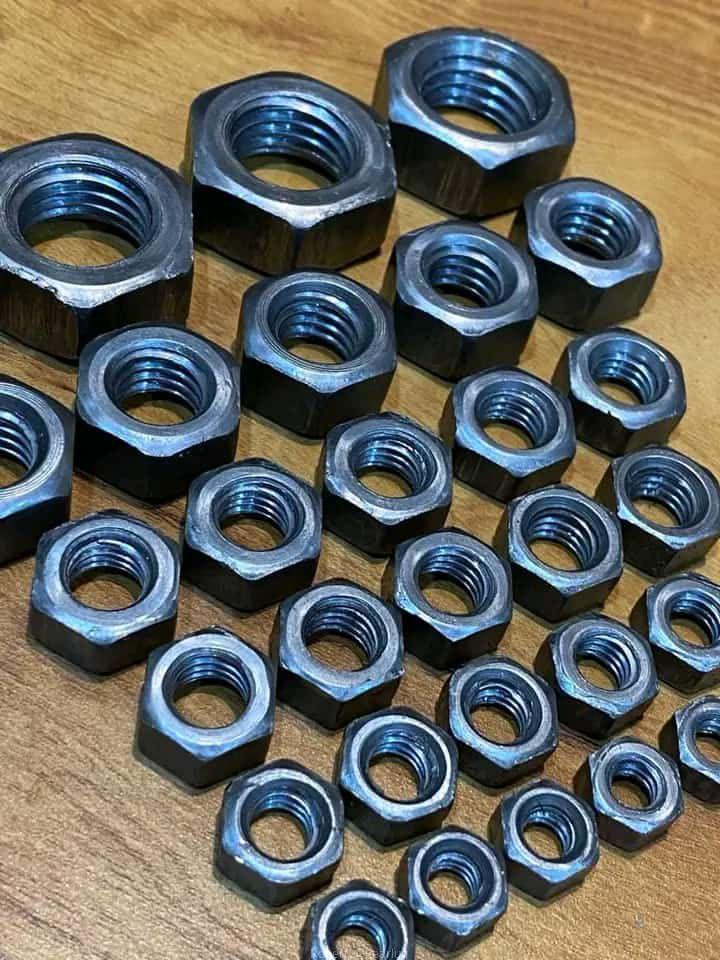 All sizes of nuts 🔩🔩