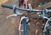 Mountain bicycle