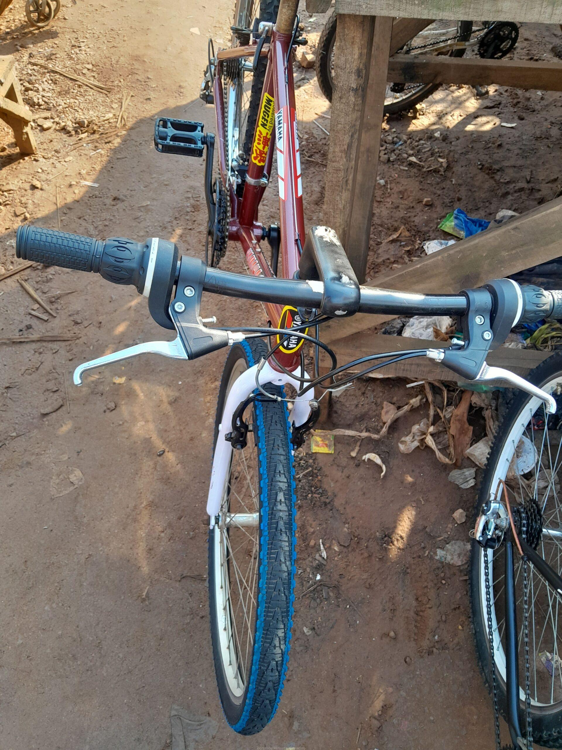Mountain bicycle