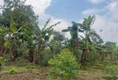 Plots of land