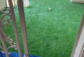 Center Carpets