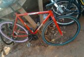 Sport bicycle road race