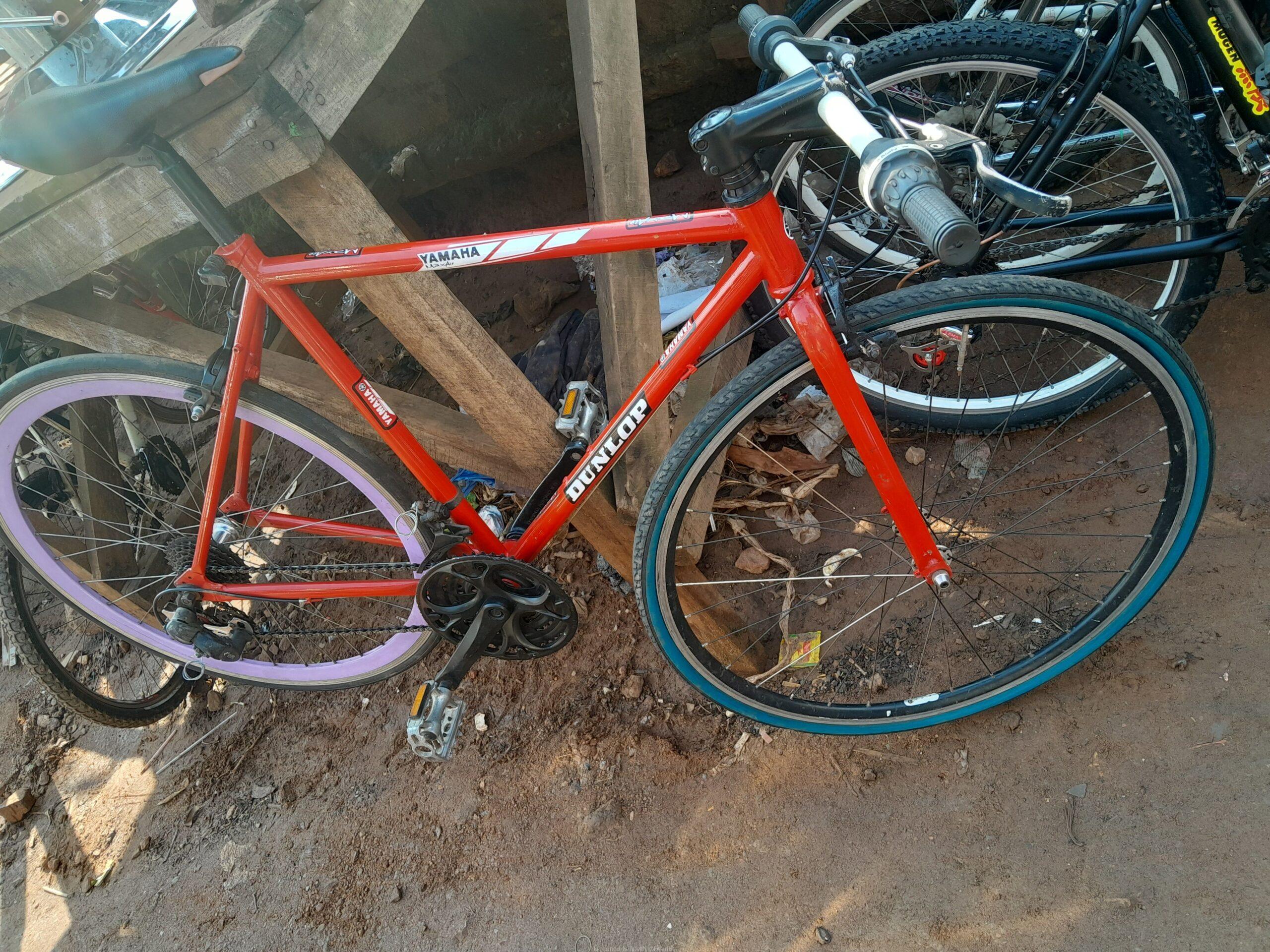 Sport bicycle road race