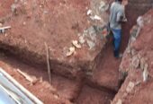 Fledmations and construction
