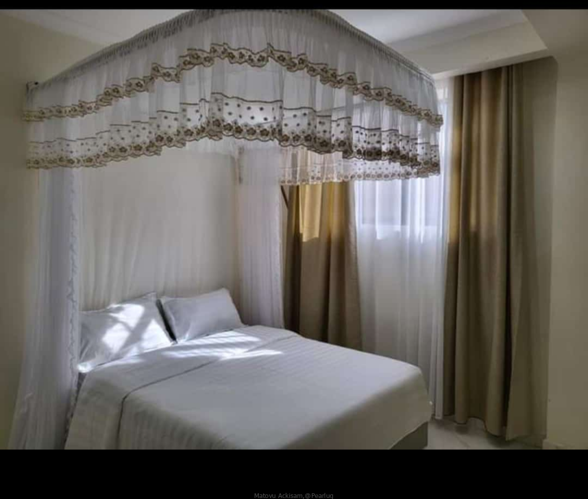 2 stand mosquito net