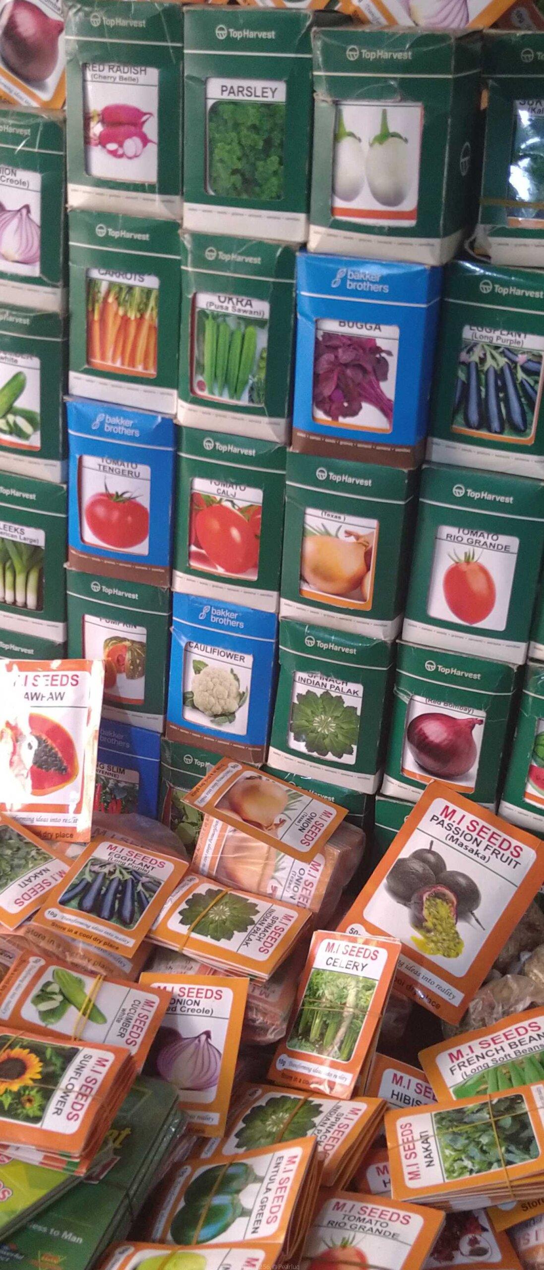 Plant seeds