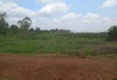 Land