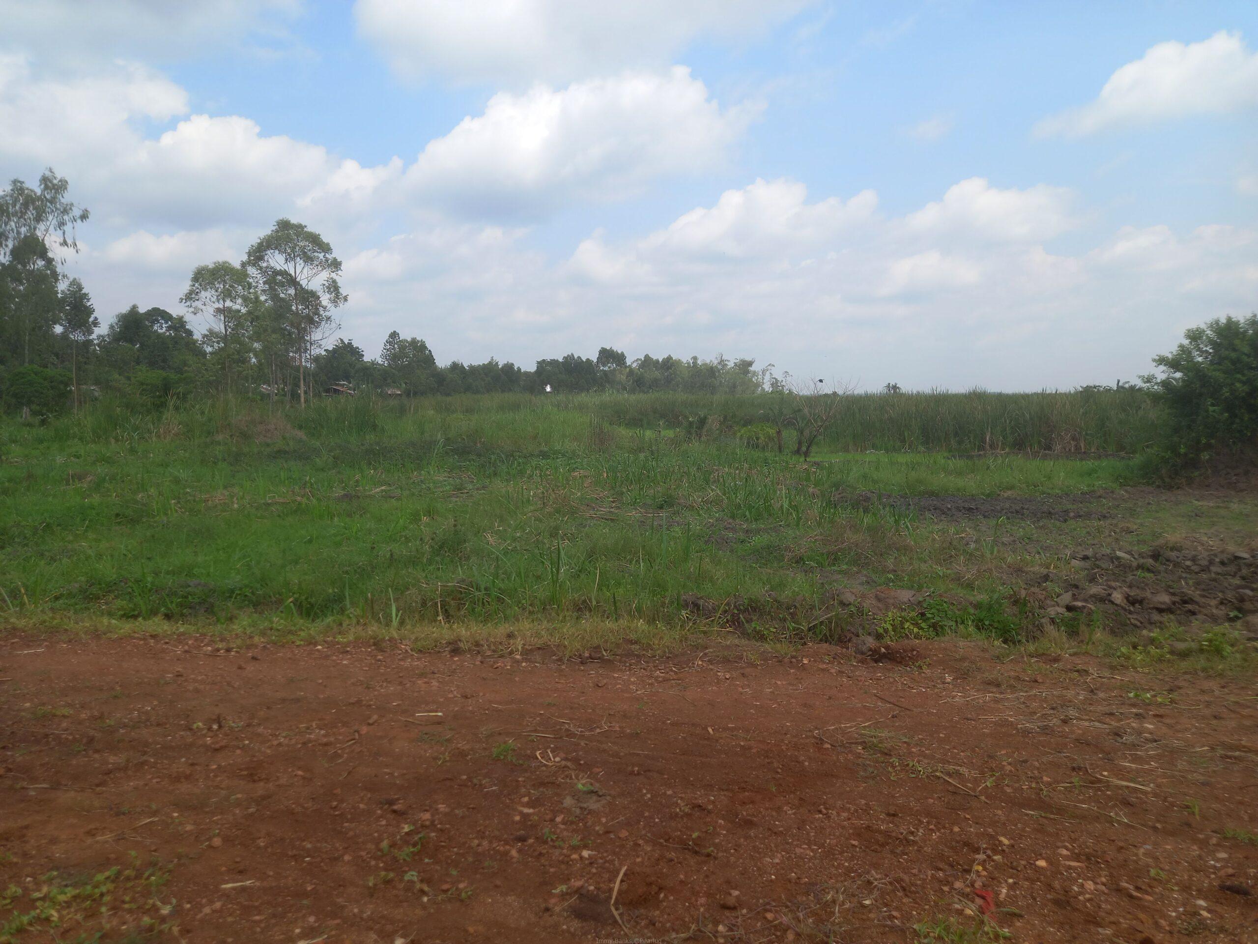 Land