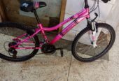 Sport Bikes