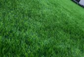 Grass Carpet