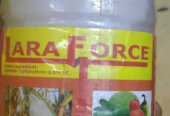 Plant insecticides