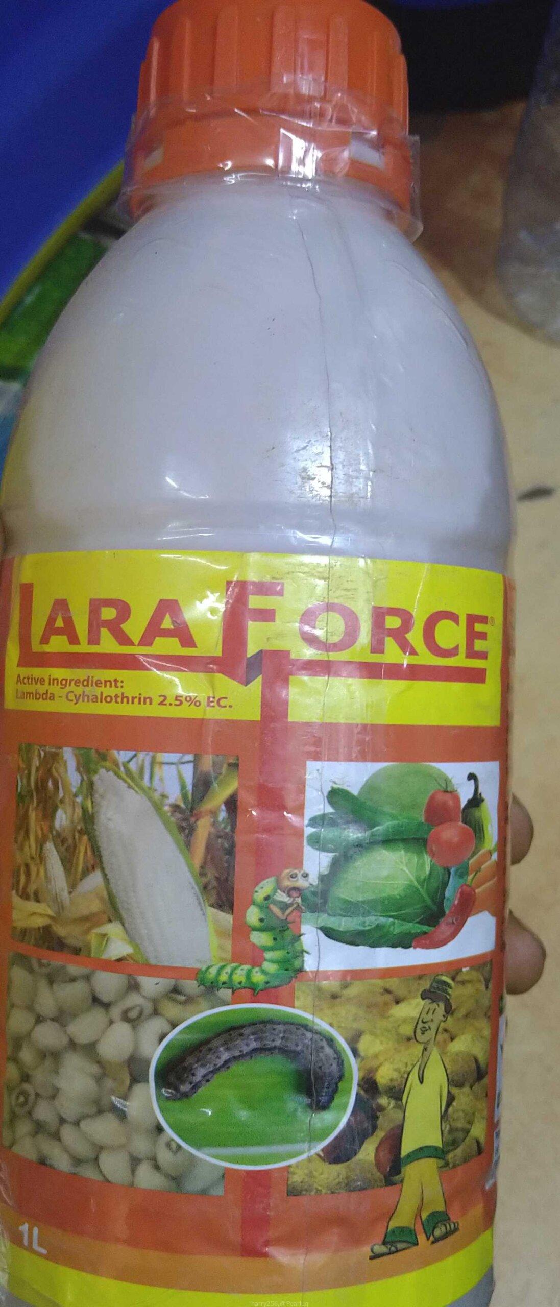 Plant insecticides