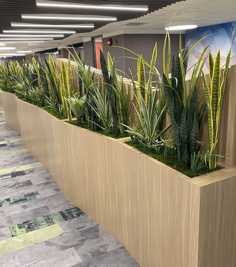 Plastic plants