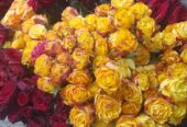 Balloons flowers special delivery surprises gifts birthdays