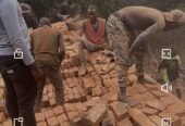 Bricks
