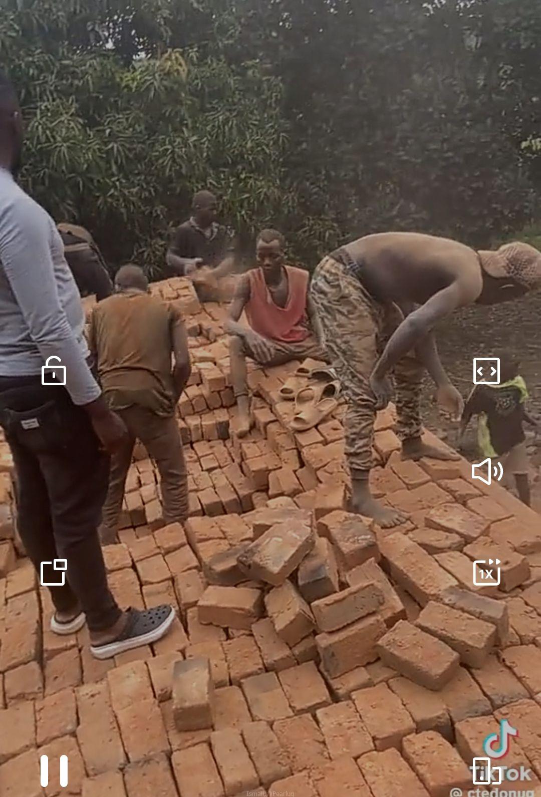 Bricks