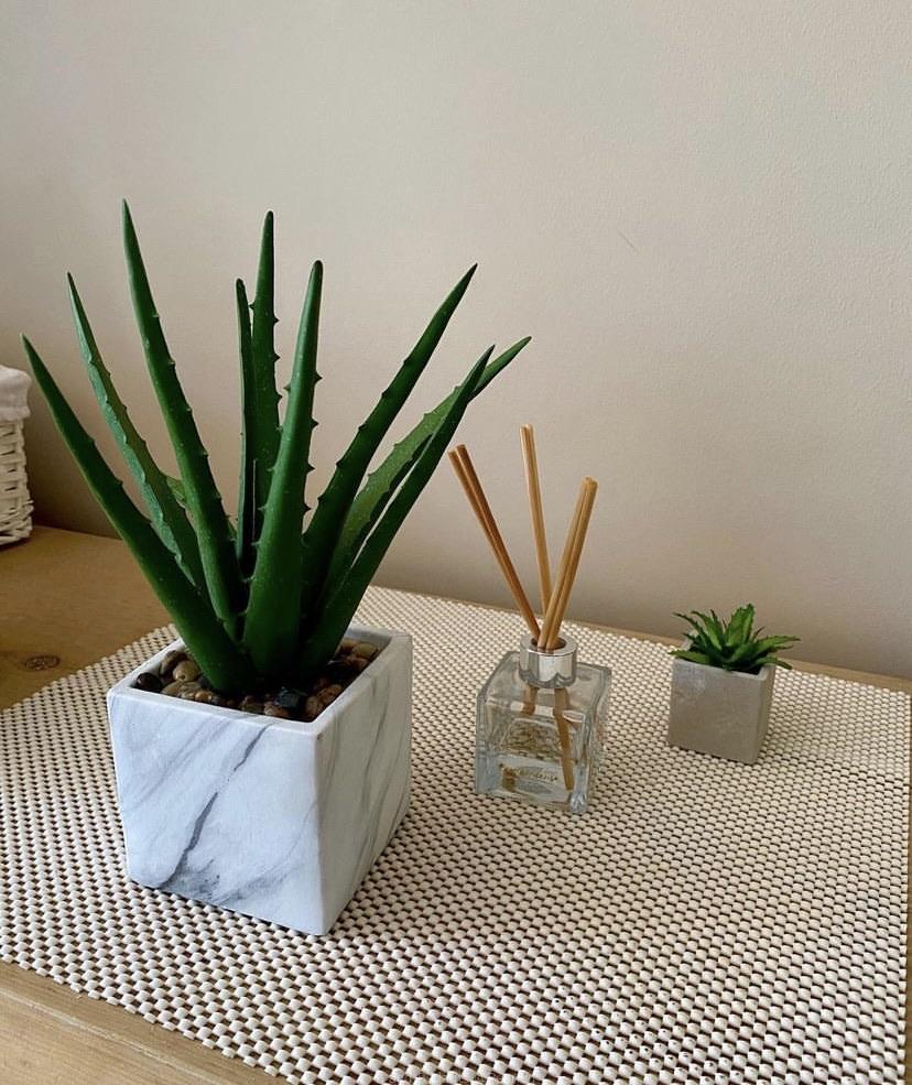 Plastic plants