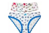 Ladies cotton panties 6packs