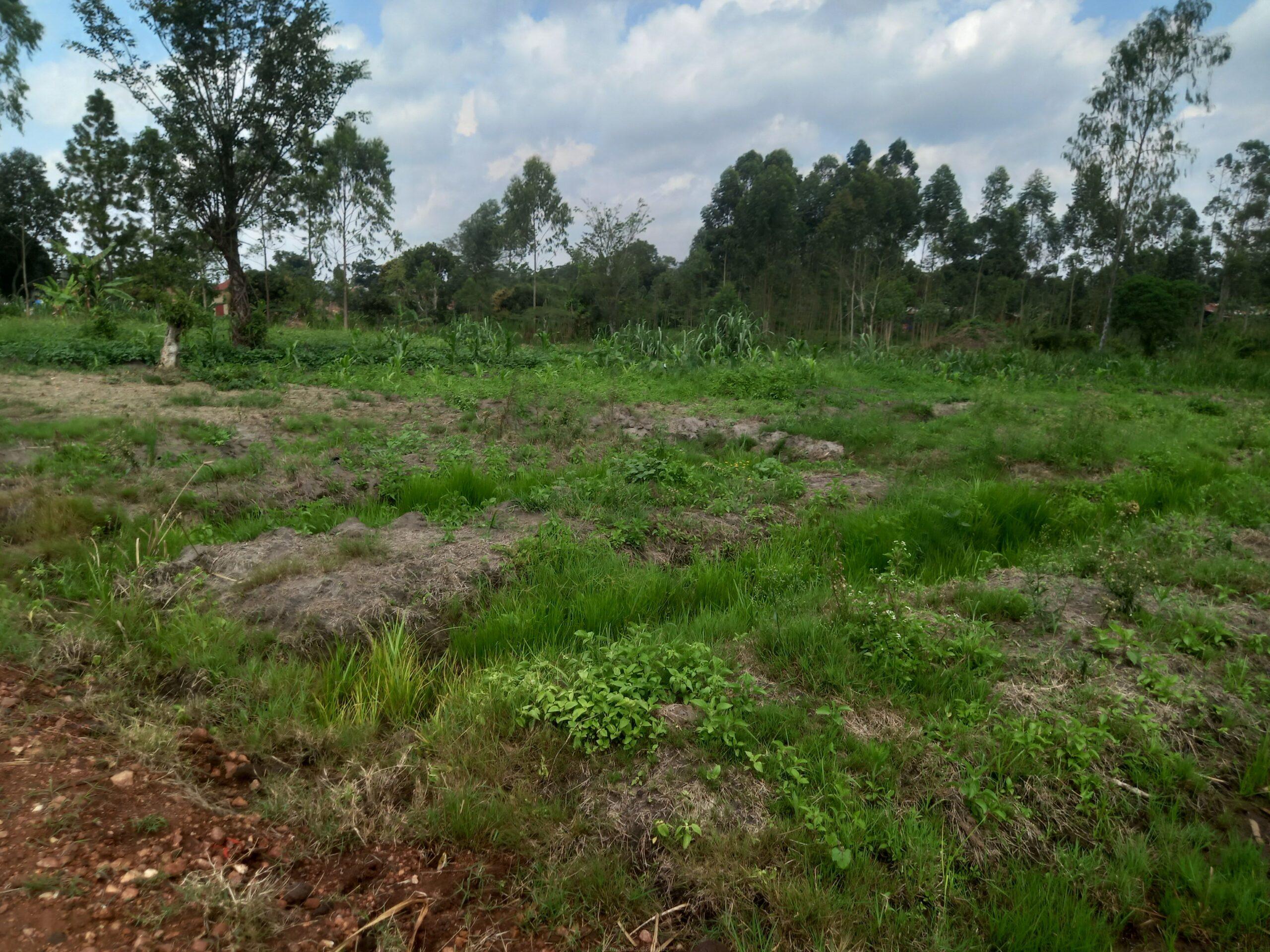 Land