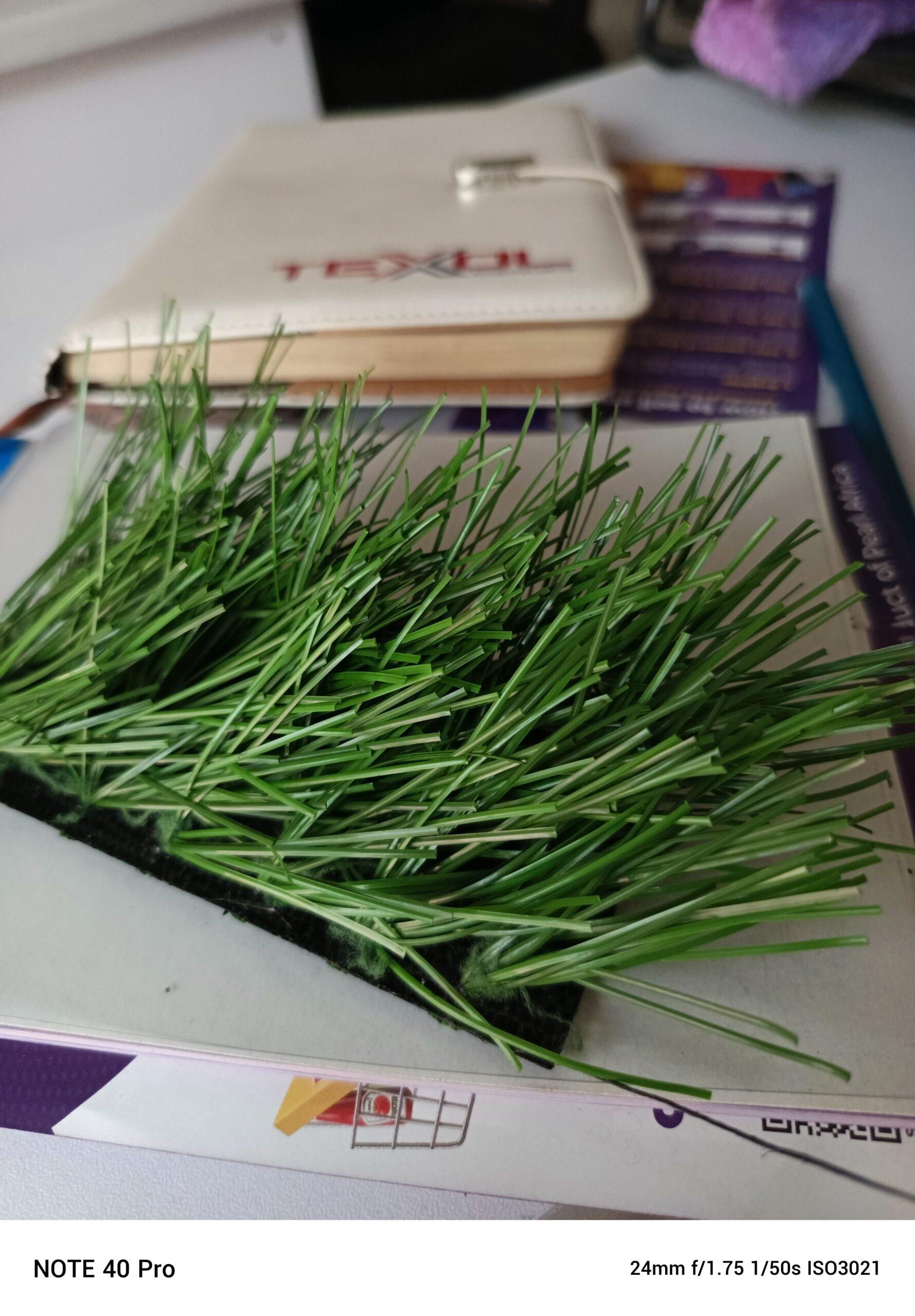 SPORTS TURF AVAILABLE.