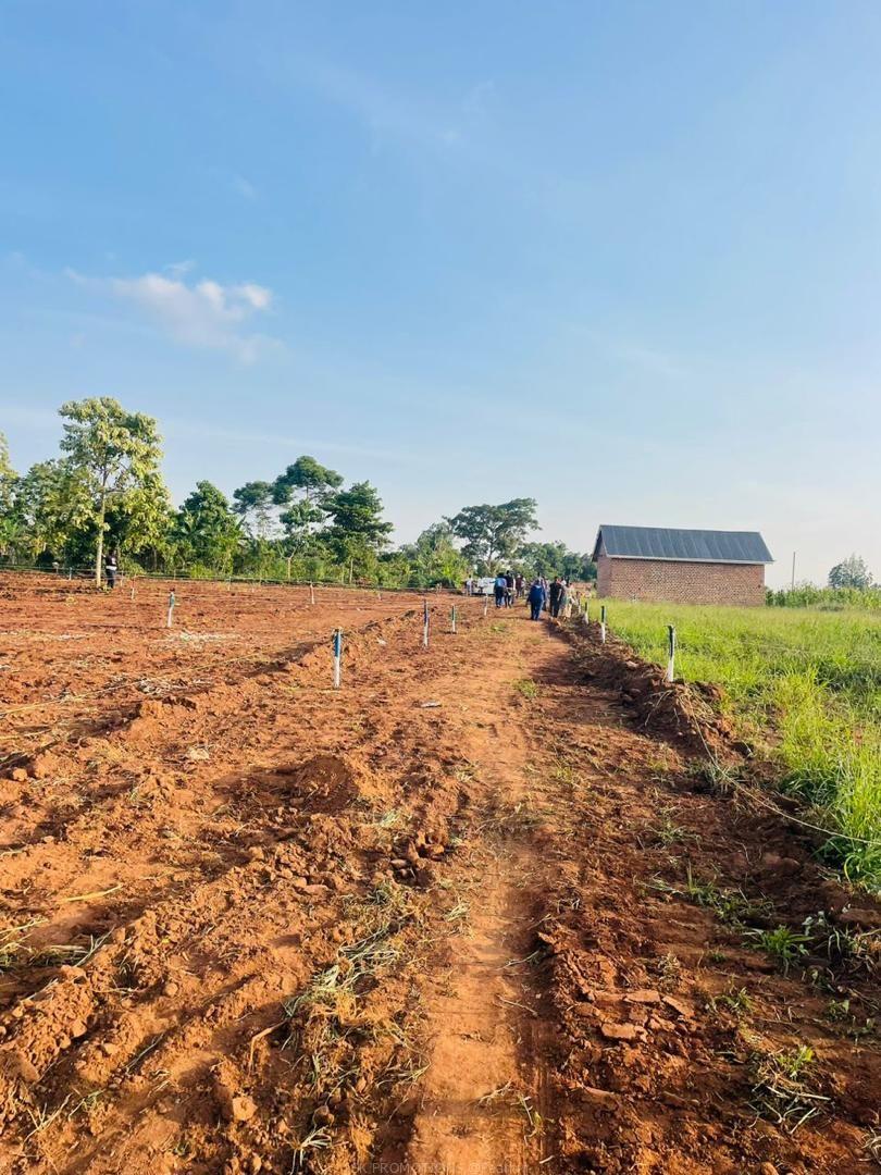 Land at all sizes