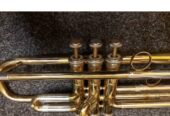 Trumpets