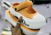 Dior crocss
