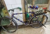 Bicycles ordinary