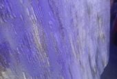 made in Turkey carpets
