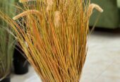 Artificial plants