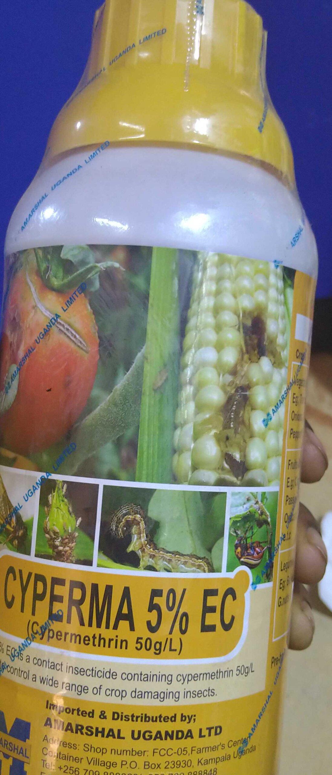 Plant insecticides