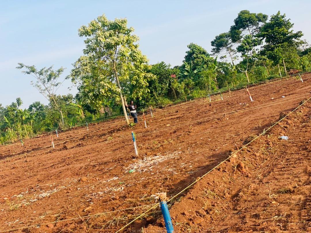 Land at all sizes