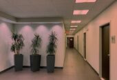 Plastic plants