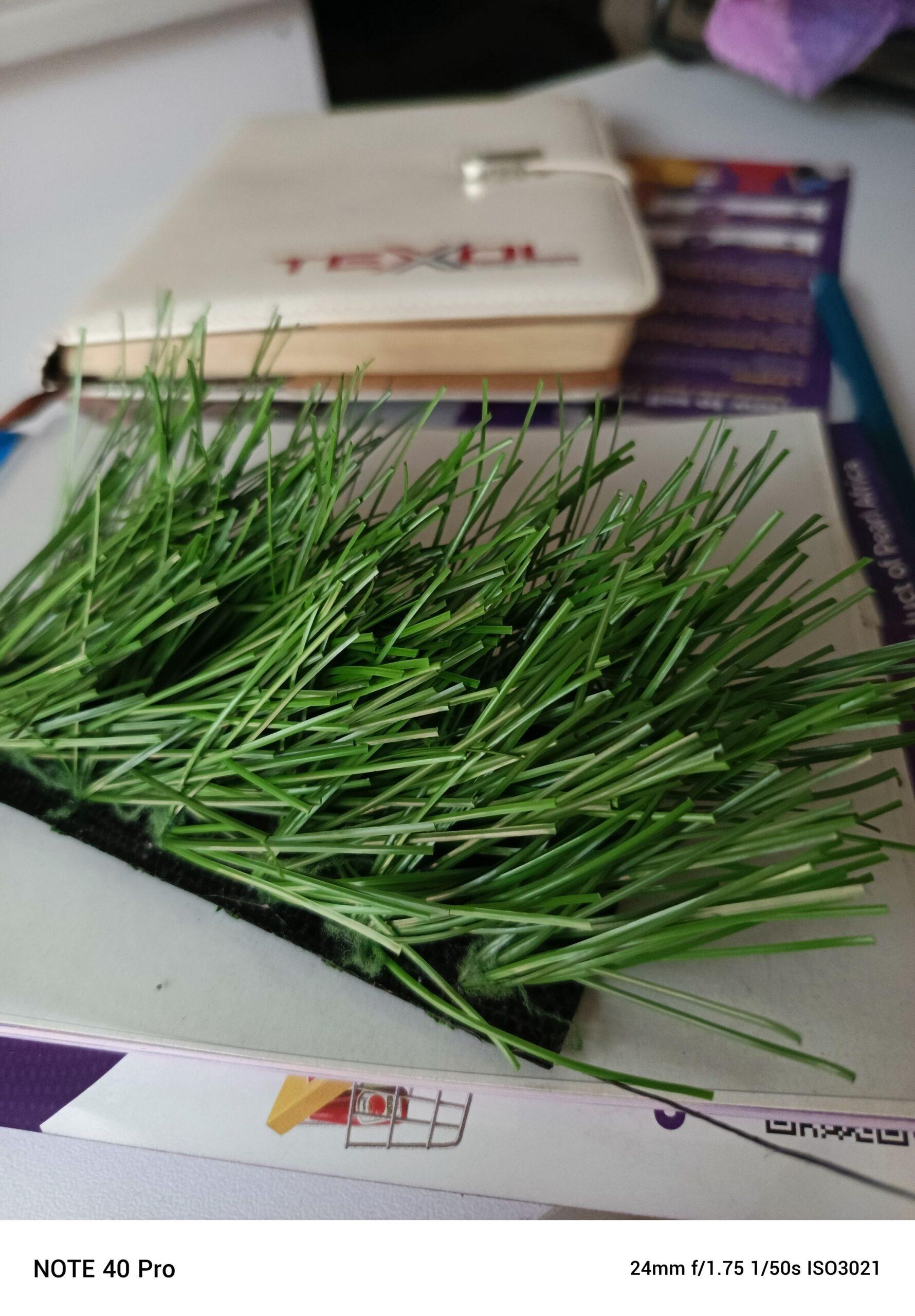 SPORTS TURF AVAILABLE.