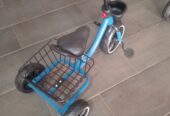 Basket tricycle
