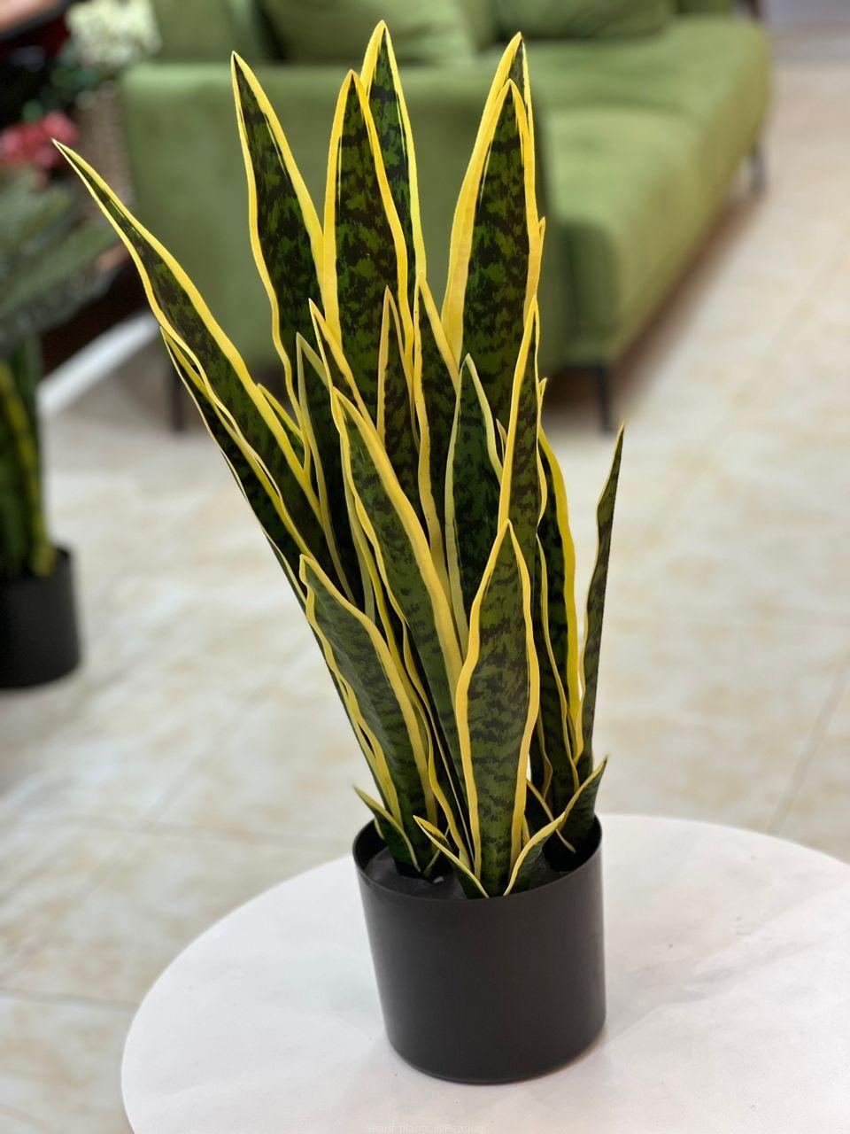 Artificial plants