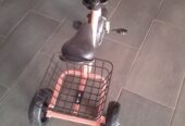 Basket tricycle
