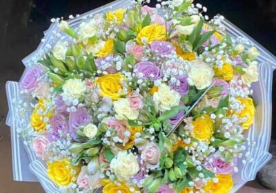 7c24ddd8-5292-4a98-a84c-57ad204bec8f